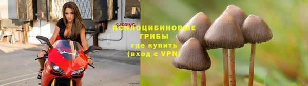 COCAINE Новокубанск