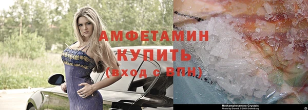 a pvp Новозыбков