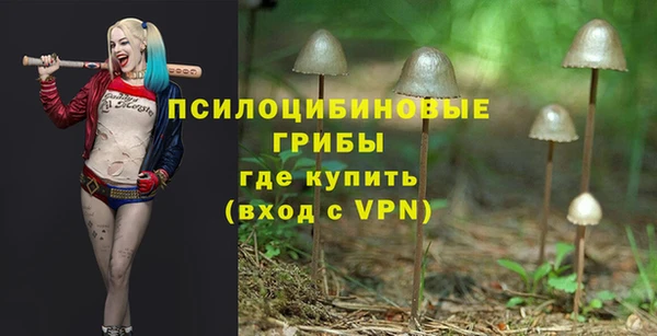 дживик Алексеевка