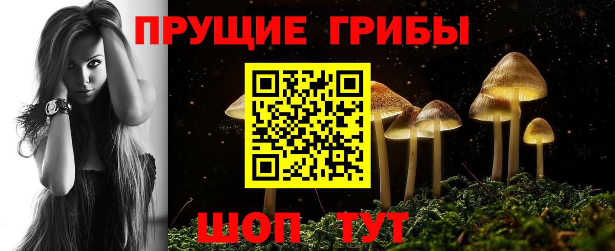 Галлюциногенные грибы MAGIC MUSHROOMS Тамбов